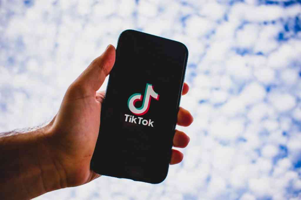 How To Get As Many Viewers As Possible On TikTok: Quickly, Efficiently, Simply