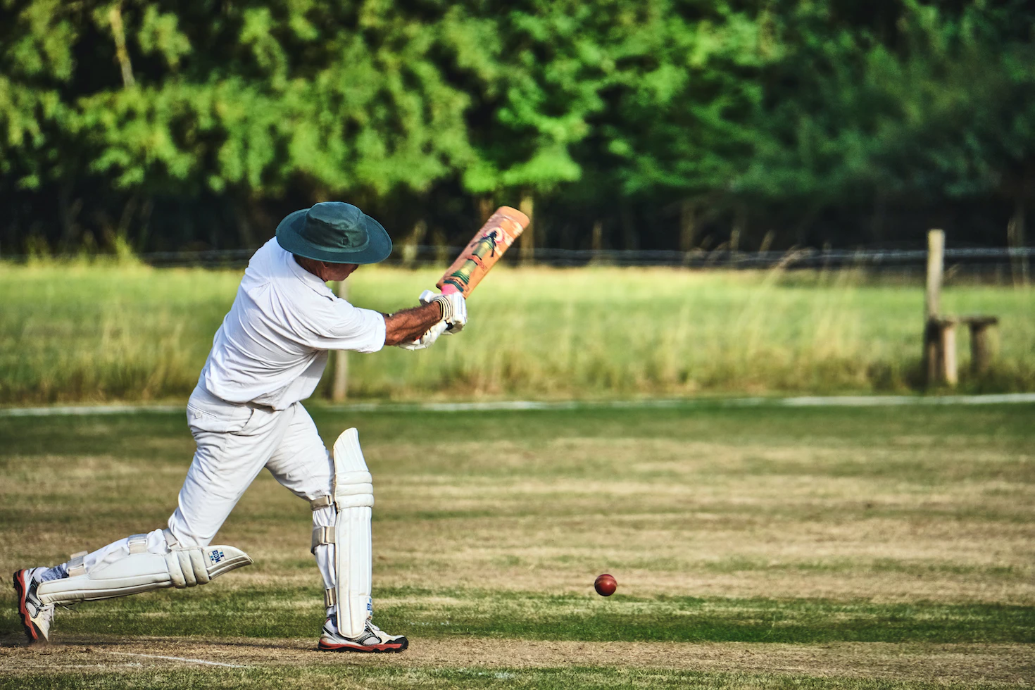 cricket betting | feedgadgets